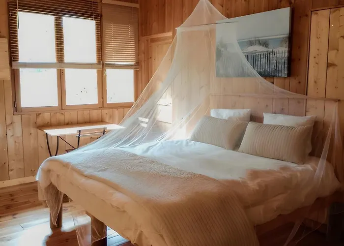 La Forestiere Bed & Breakfast Lacanau