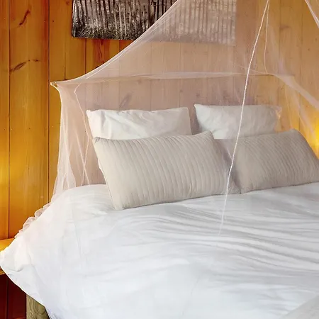Bed & Breakfast La Forestiere