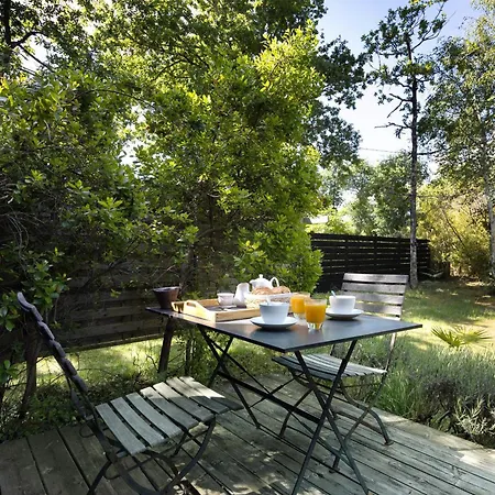Bed & Breakfast La Forestiere Lacanau